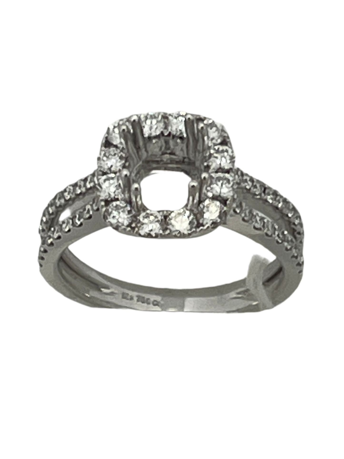 18k white Gold setting