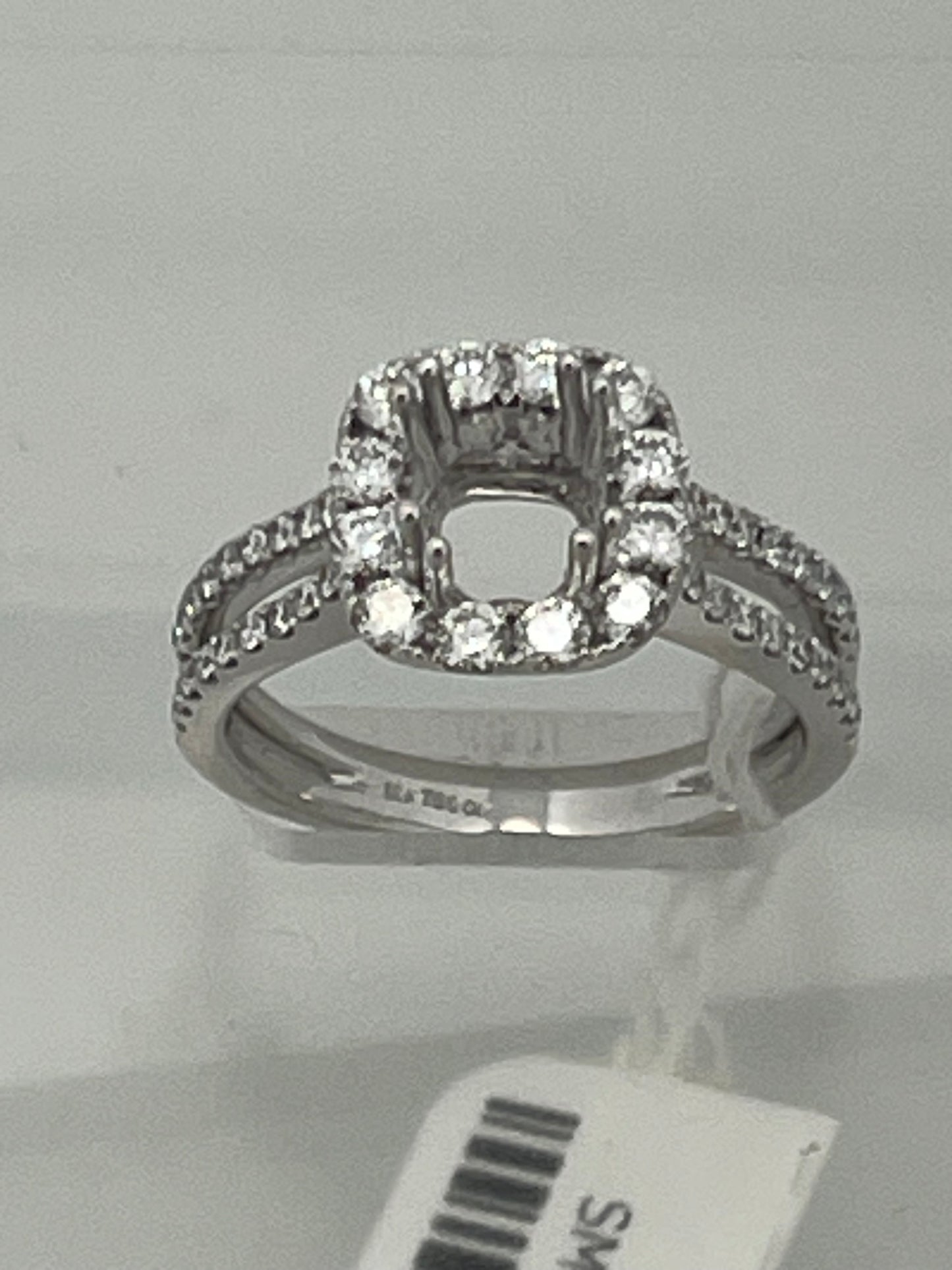 18k white Gold setting