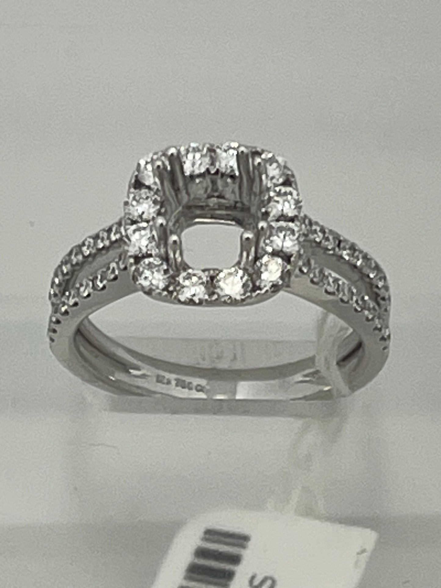 18k white Gold setting