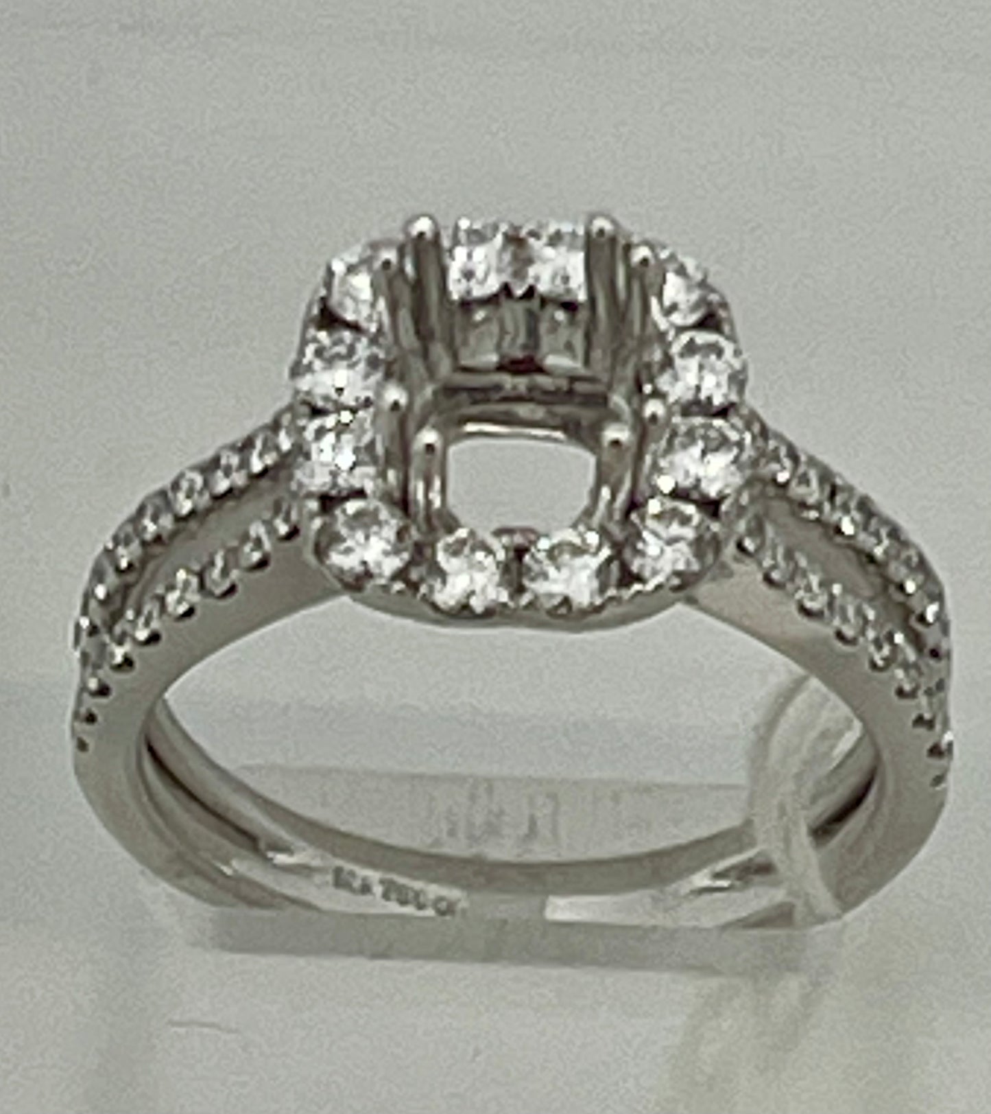 18k white Gold setting