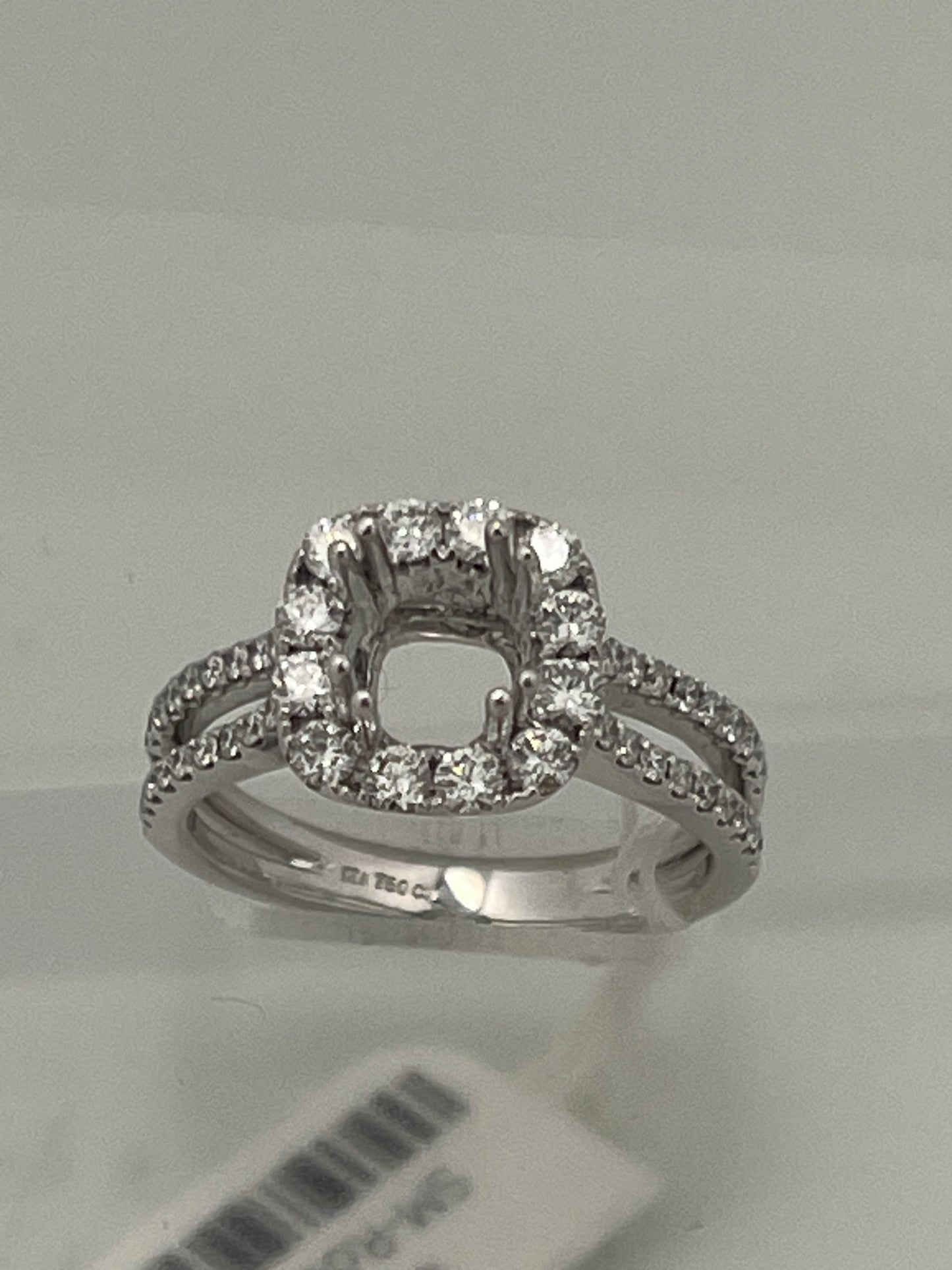 18k white Gold setting